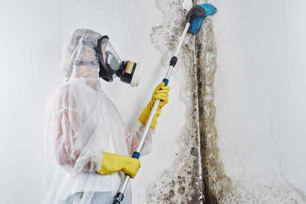 Water Damage Restoration in Lauderdale Lakes, WI