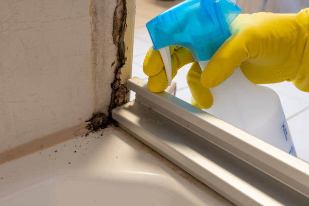 Best Emergency Mold Removal  in Lauderdale Lakes, WI