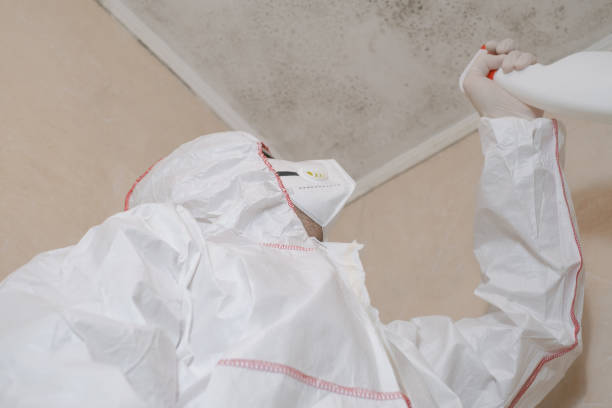 Best Mold Remediation Experts  in Lauderdale Lakes, WI