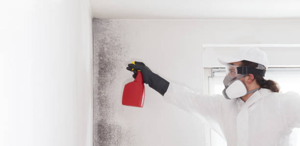 Mold Testing and Removal in Lauderdale Lakes, WI