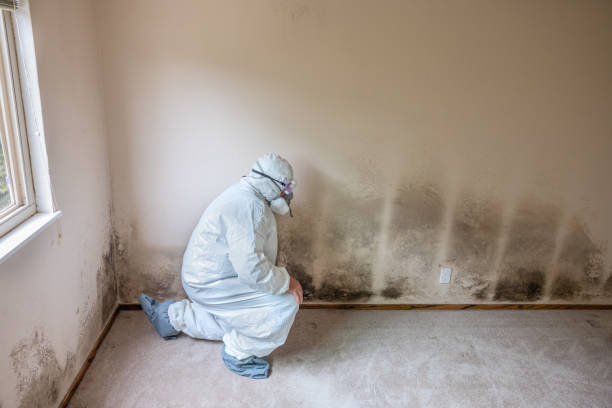 Best Crawl Space Mold Removal  in Lauderdale Lakes, WI