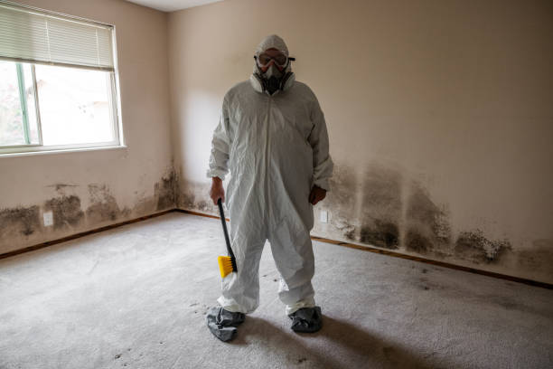 Best Residential Mold Removal  in Lauderdale Lakes, WI